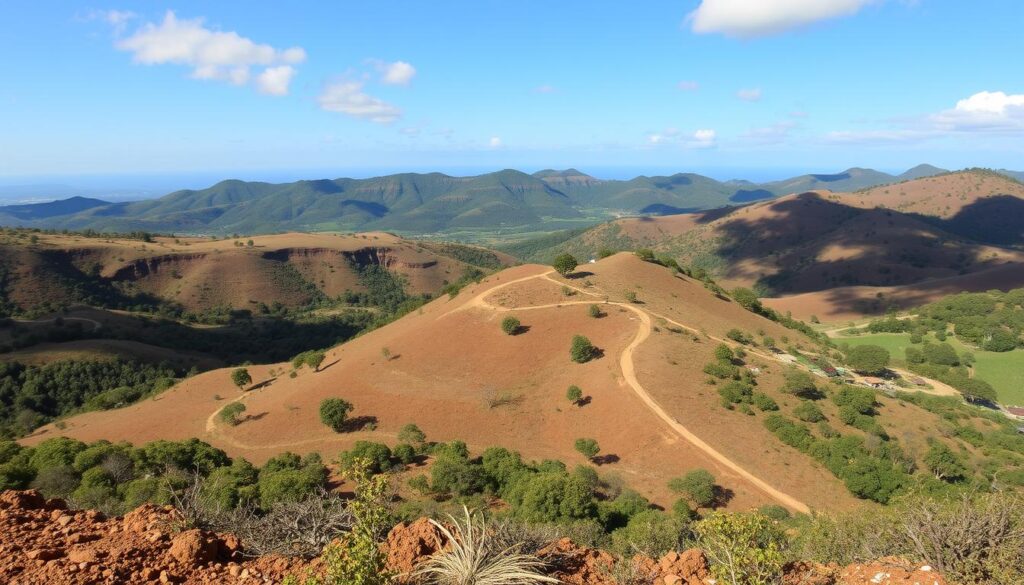 cães trufeiros treinamento